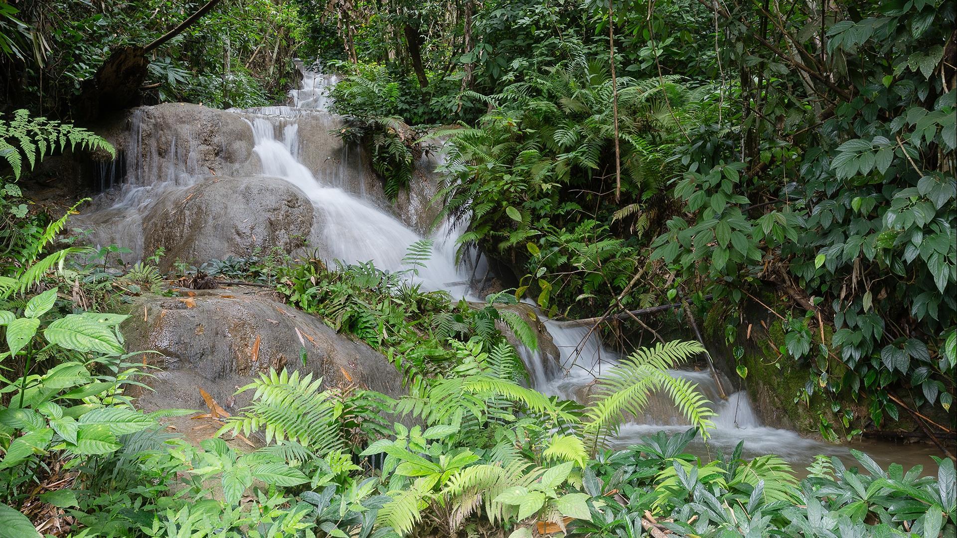 Laos, Nong Khiaw : The 100 Waterfalls Trek, Homestay, Historic Cave, Villages - 2 Days | This tour has it all for the fit and adventurous.
