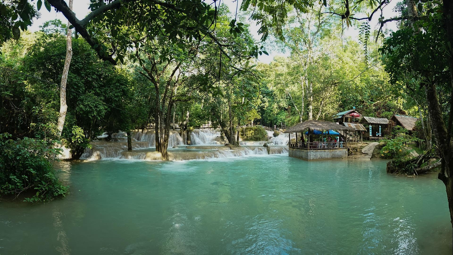 Laos, Luang Prabang: Half–Day Nam Khan Elephant Experience - Half-Day | Experience the Jungle the Traditional Way