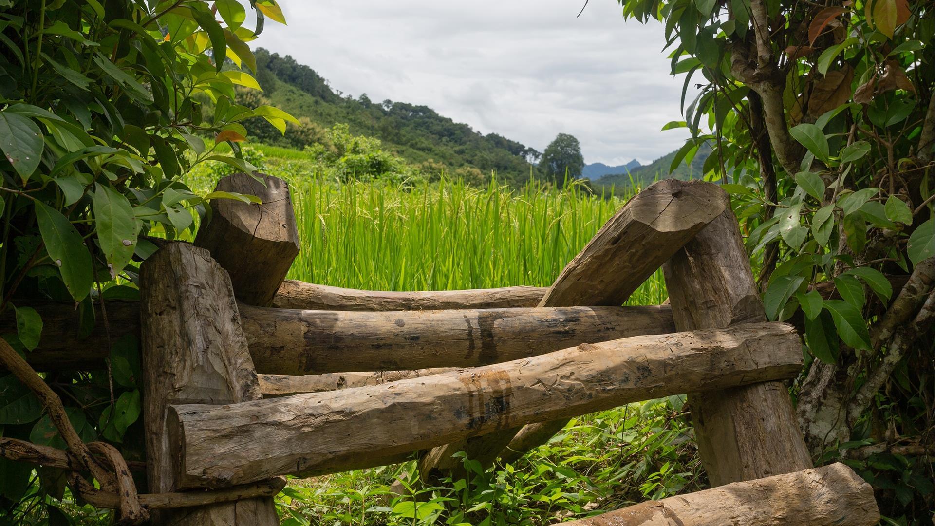 Laos, Luang Prabang : Day hike and Kayak the Nam Khan River Valley - 1 Day | Get Out of Town and Be Amazed