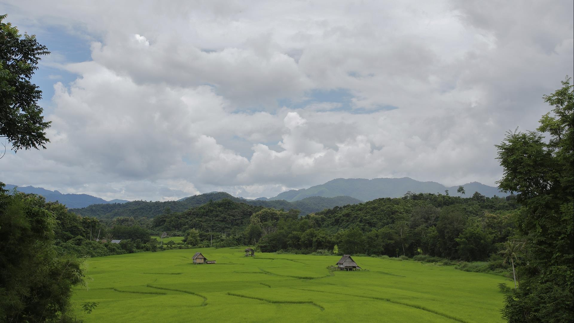 Laos, Luang Prabang : Join In Tours - 1-9 days | for the Active Adventurer Laos, Luang Prabang : Join In Tours - 1-9 days | for the Active Adventurer