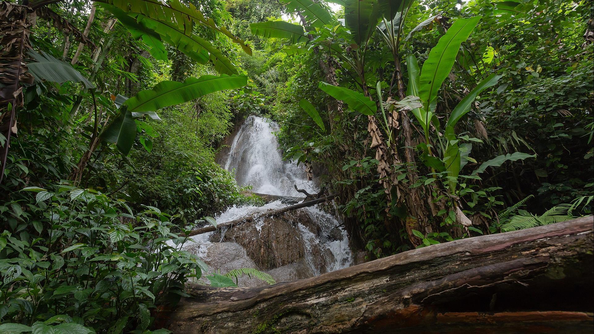 Laos, Nong Khiaw : The 100 Waterfalls Adventure Trek -1 Day | The Famous Tiger Trail 100 Waterfalls Trek, Boat Ride, and Villages