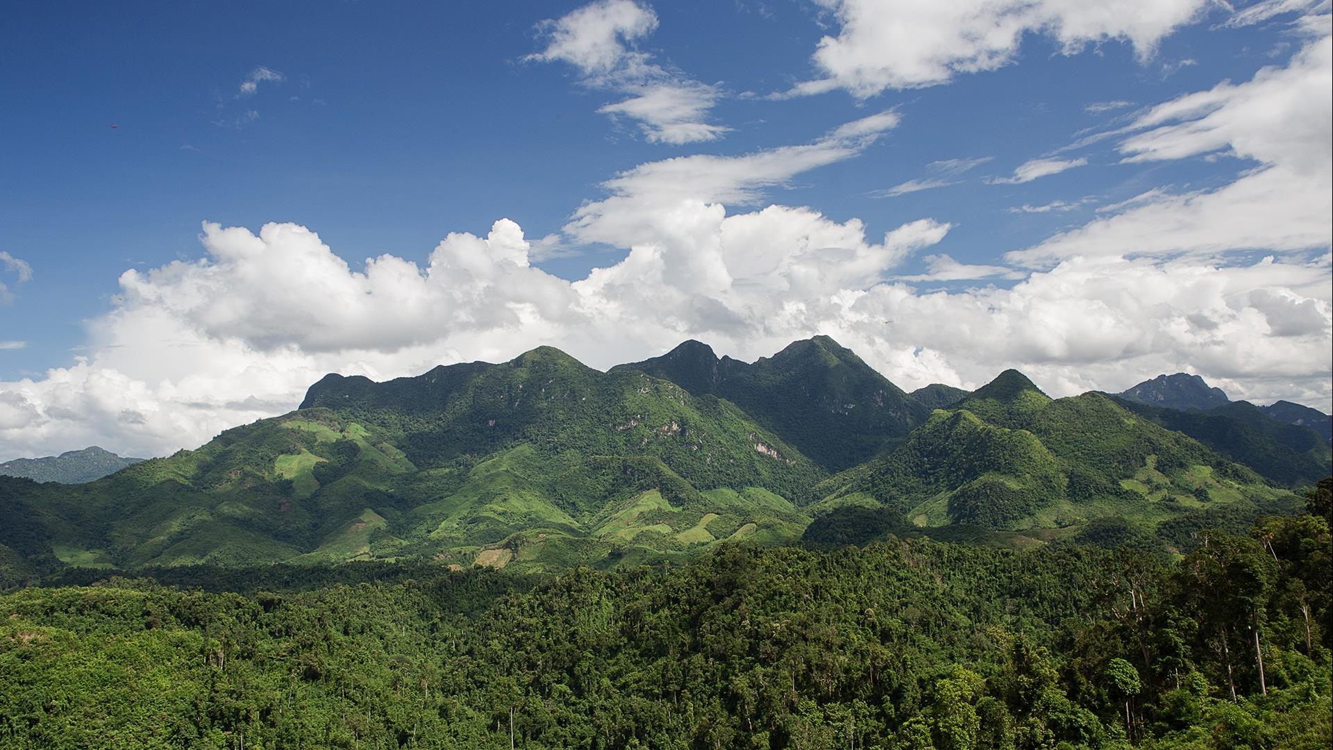 Laos, Luang Prabang – Nong Khiaw: Jungle, River, Waterfall, and Hilltribe Explorer - 4 Days | The Best of Nong Khiaw Tiger Trail Explorer