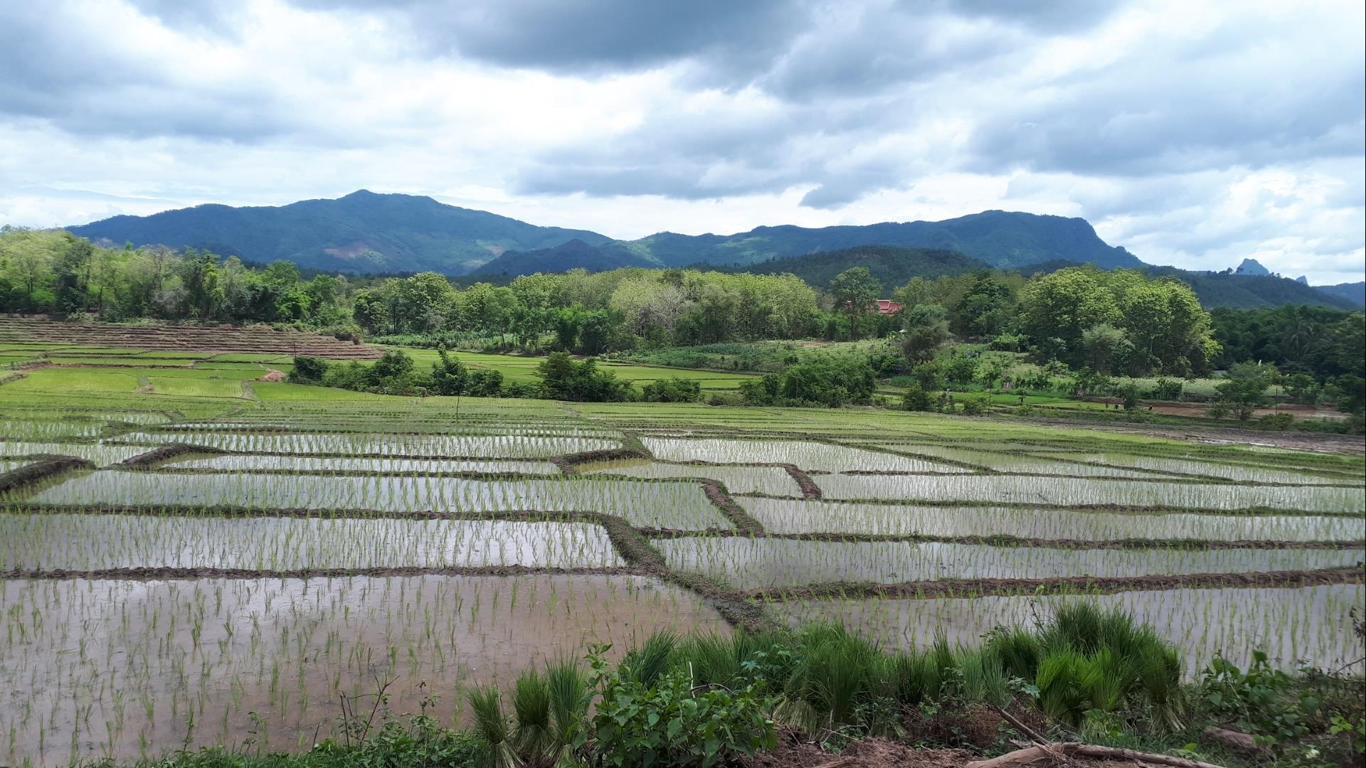 Laos, Luang Prabang : Single Dirt Track explorer - 1 Day | Off-Road Mountain Biking Across the Mekong Laos, Luang Prabang : Single Dirt Track explorer - 1 Day | Off-Road Mountain Biking Across the Mekong