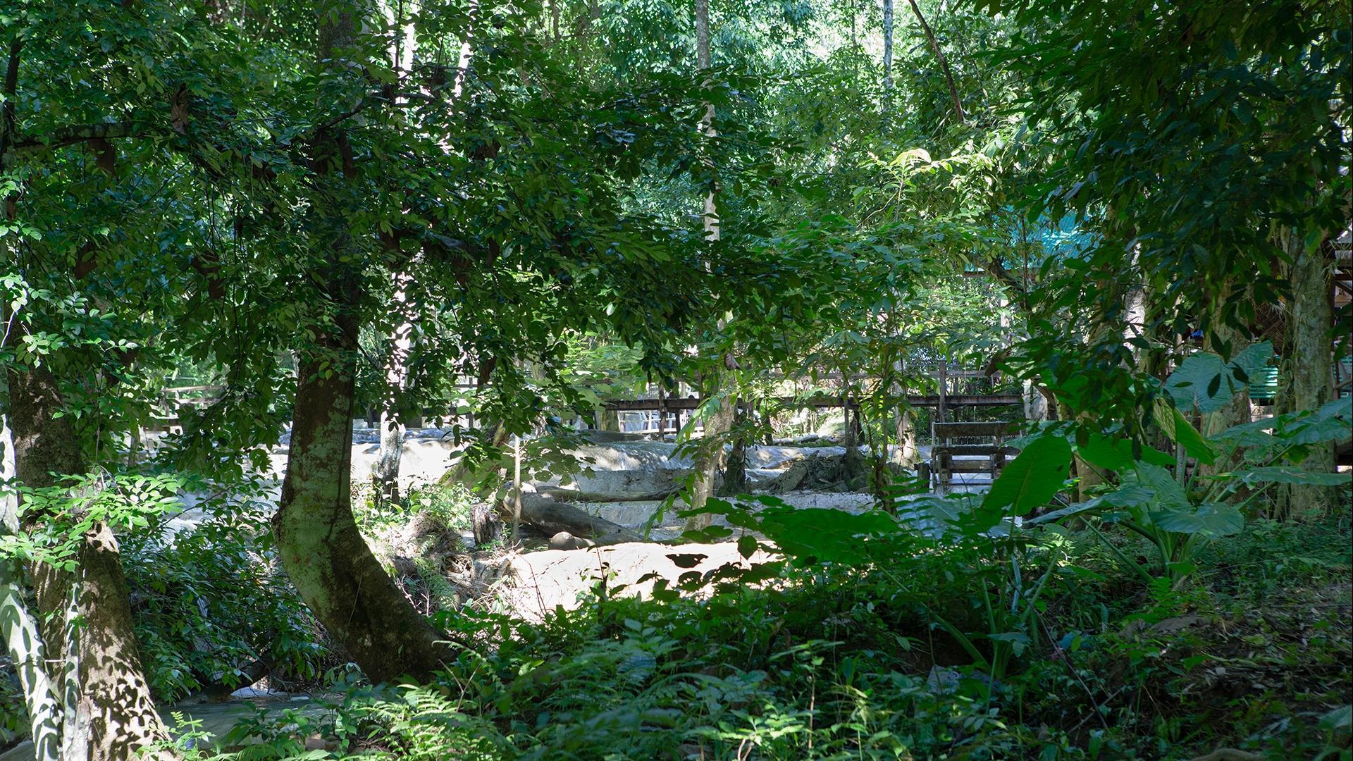 Laos, Luang Prabang : Elephant Experience, Kayaking & Tad Sae Waterfall - 1 Day | Venture into the Nam Khan River Valley Laos, Luang Prabang : Elephant Experience, Kayaking & Tad Sae Waterfall - 1 Day | Venture into the Nam Khan River Valley