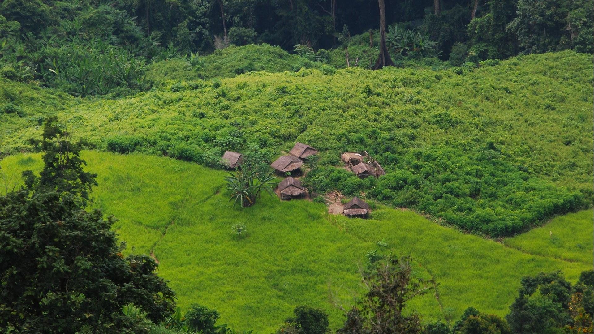 Laos, Nong Khiaw: Hiking, Homestays, and Nam Ou River - 3 Days | Nong Khiaw Viewpoint Camping, Caves & Kayaking Adventure