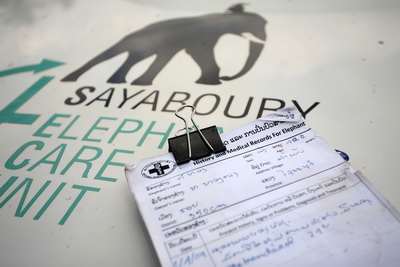 ECC Elephant Conservation Center in Laos 3