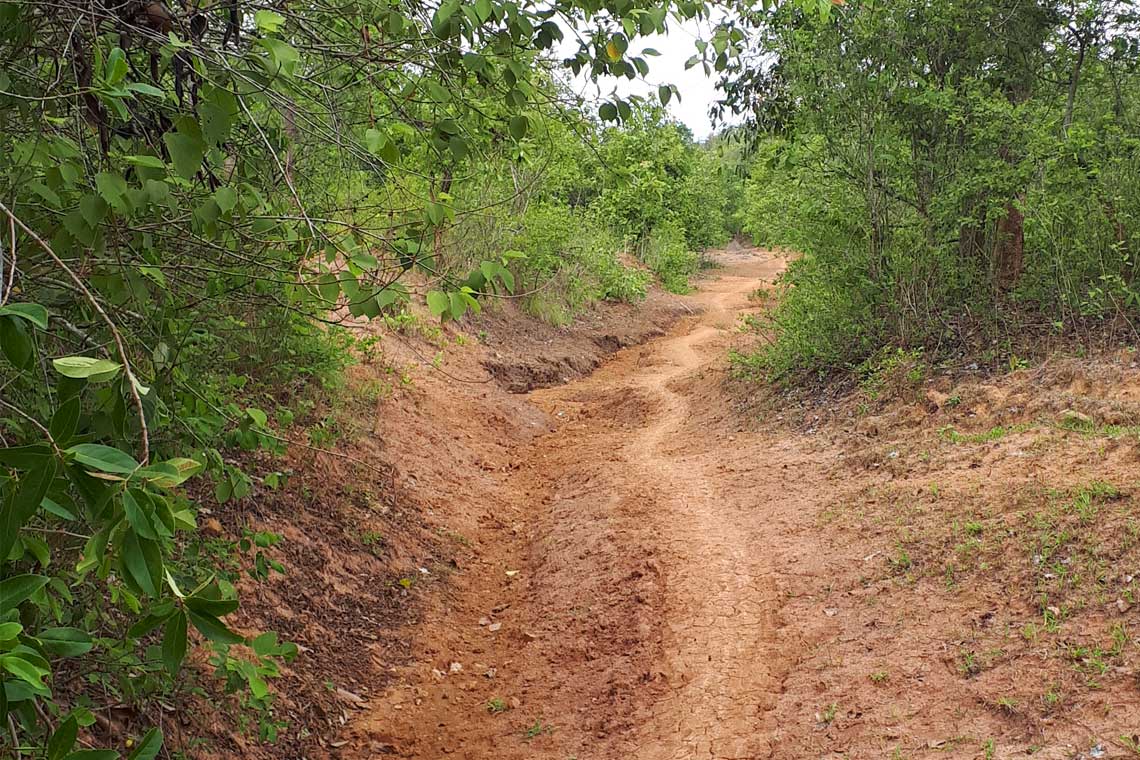 Biking track