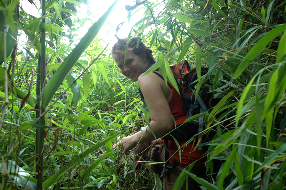 Walking through thick Plants
