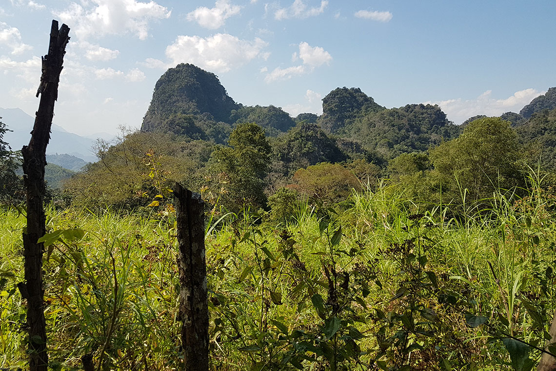 Trekking