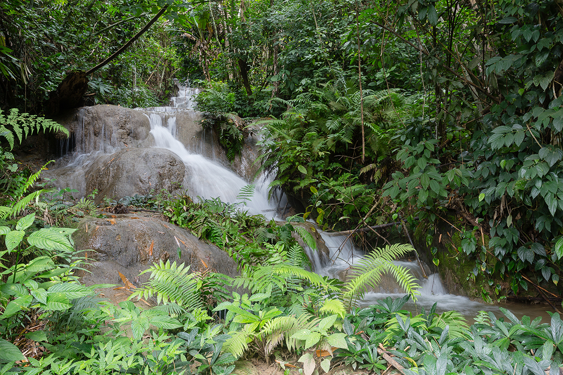 100 Waterfalls - Hiking