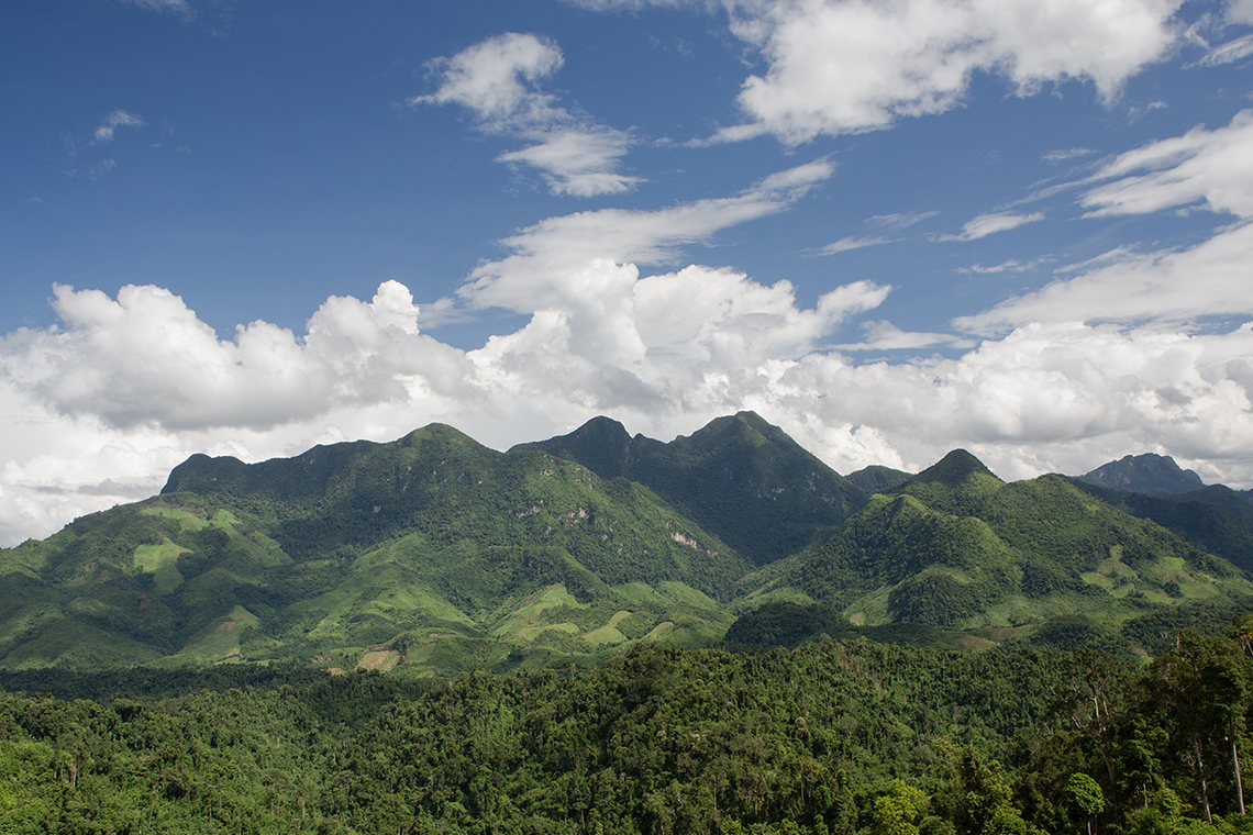Landscape