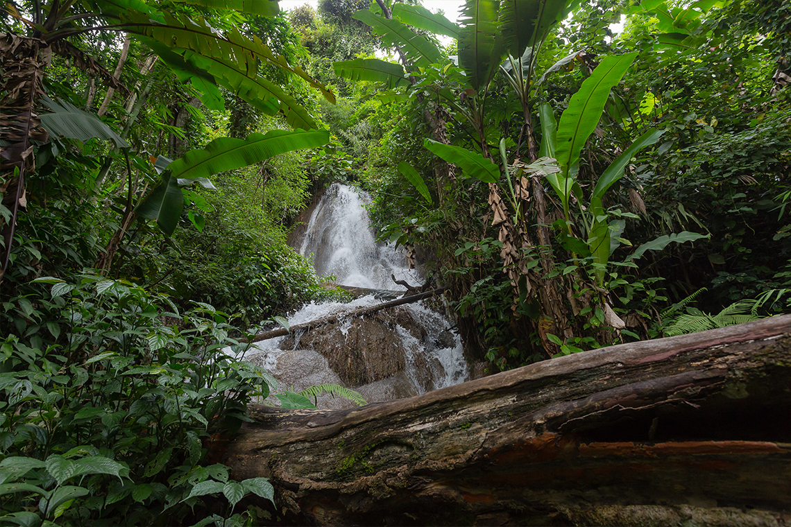 Waterfalls