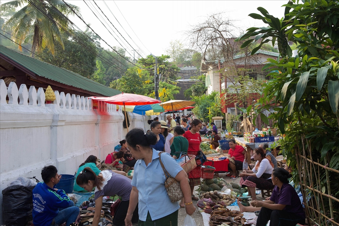 Luang Prabang morning market, Laos.