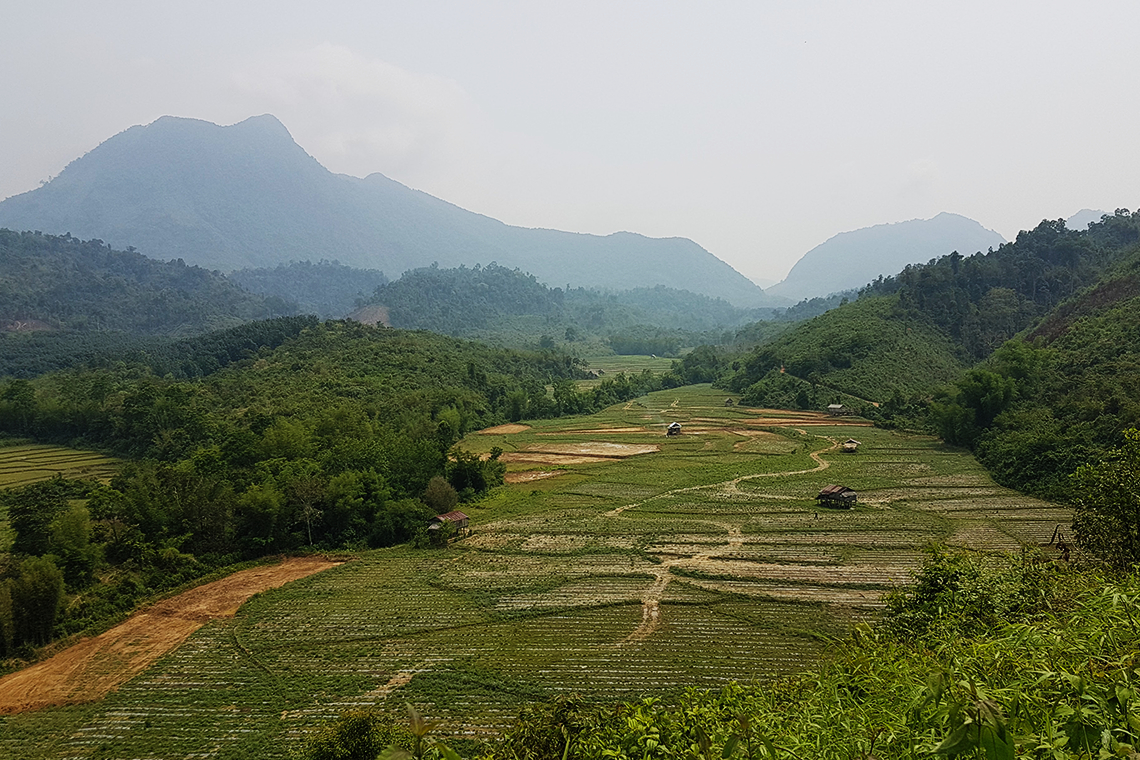 View from tractor trail