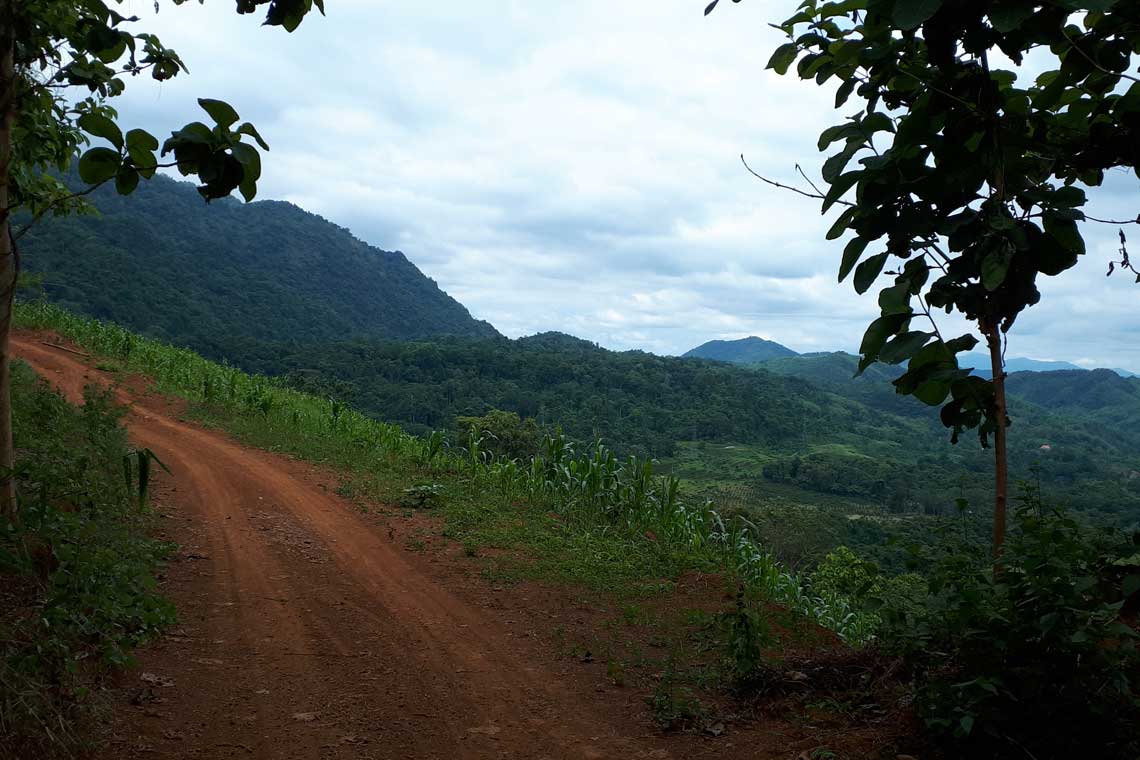 Countryside views