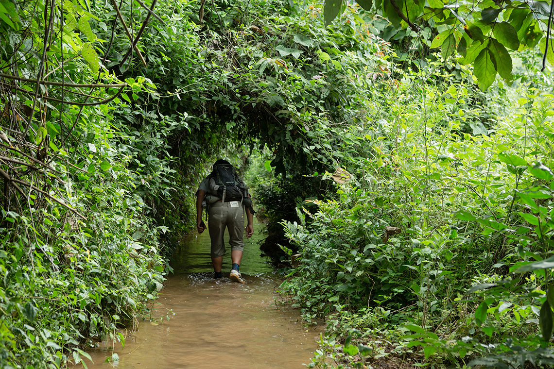 Trekking 100 Waterfalls