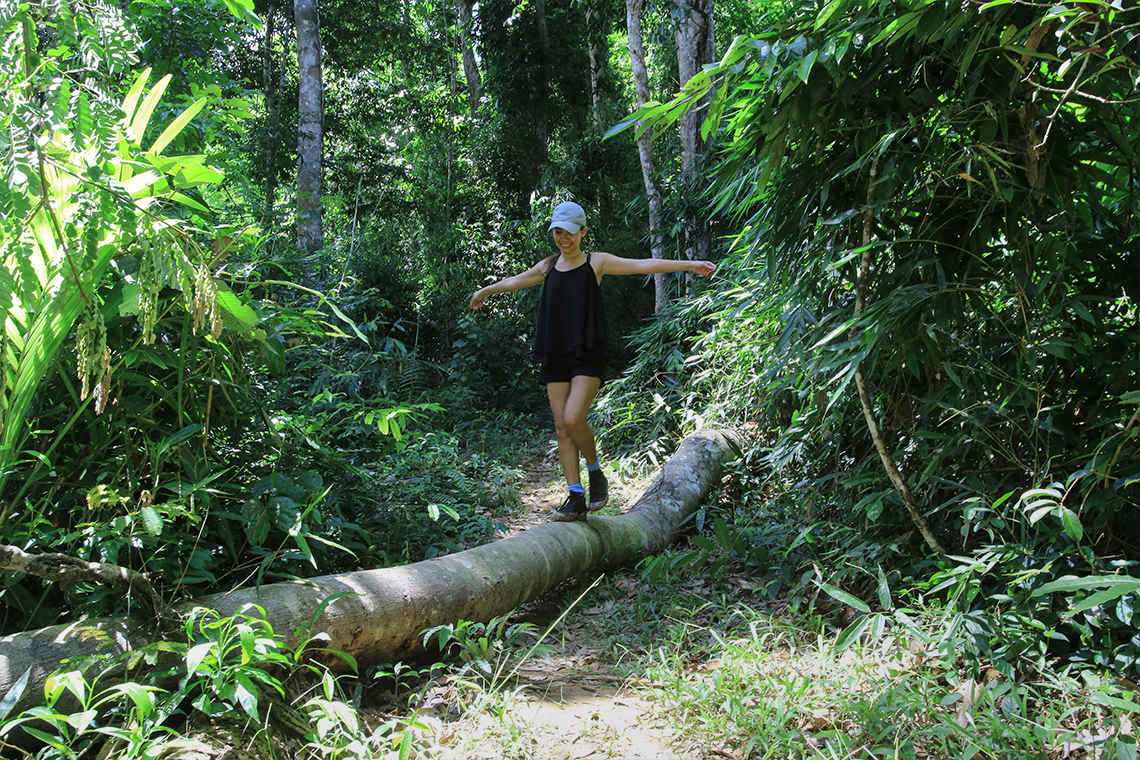 Jungle Trek