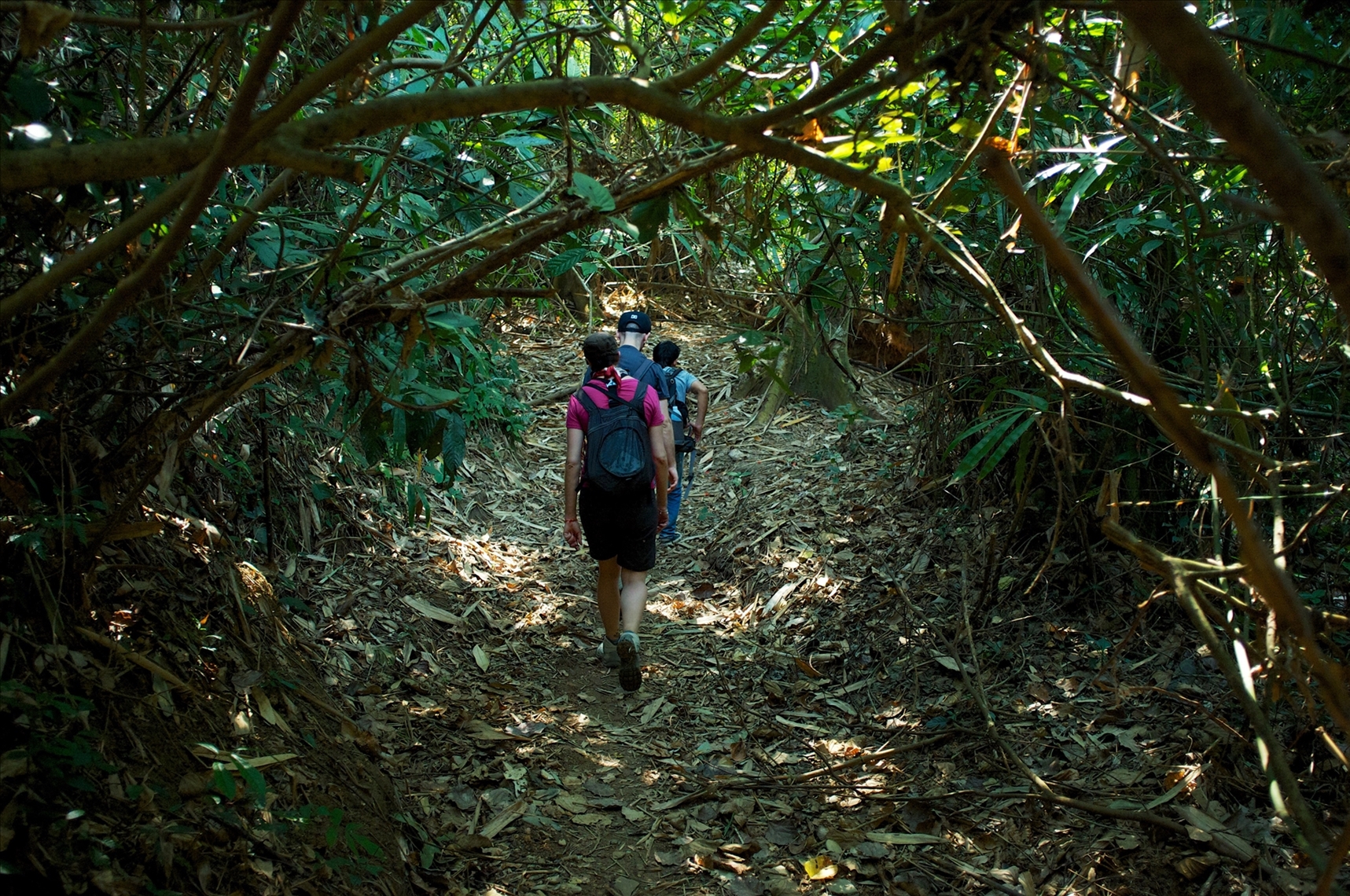 Trekking
