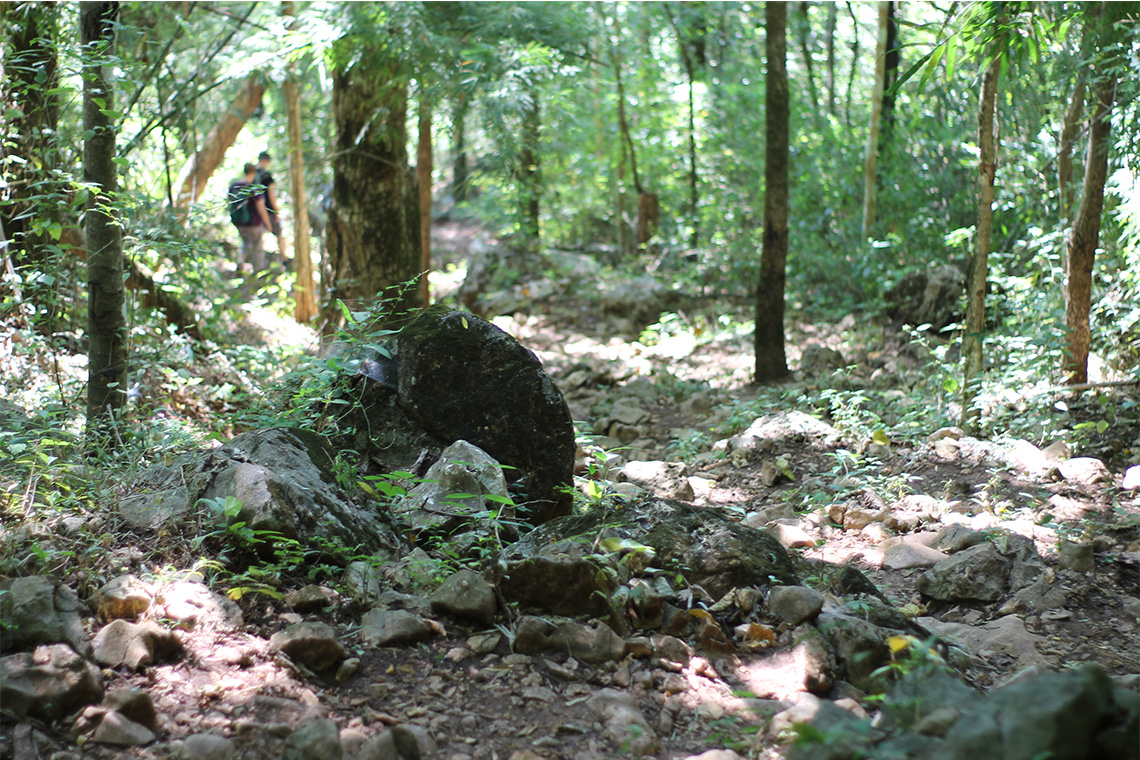 Trekking