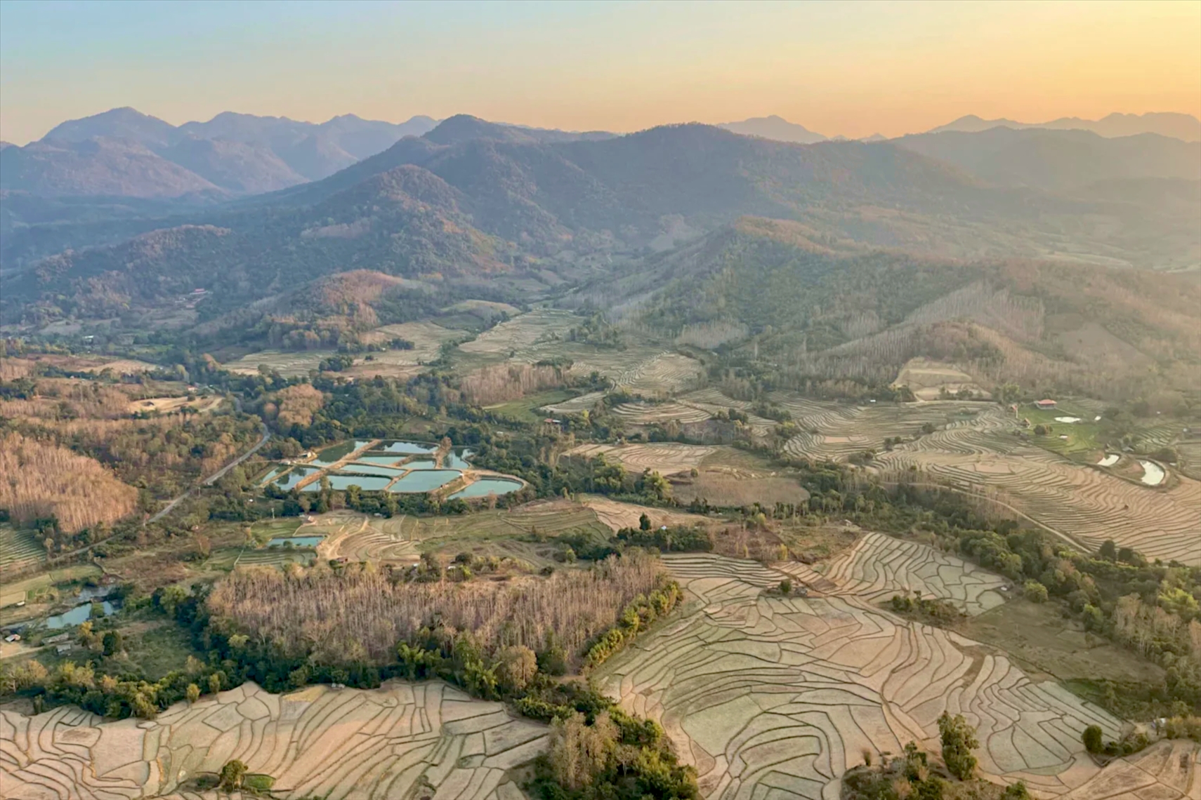 Rice paddies